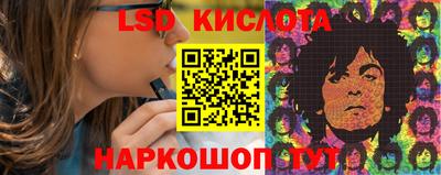крисы Кулебаки