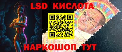 крисы Кулебаки