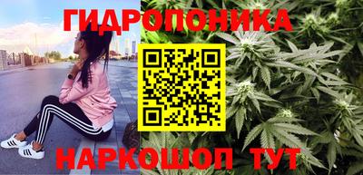 крисы Кулебаки