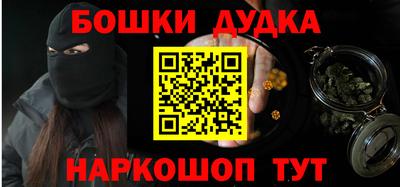 крисы Кулебаки