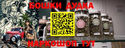крисы Кулебаки