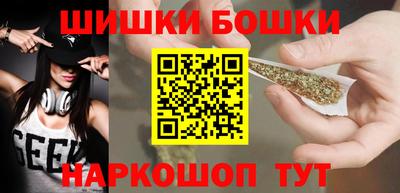 крисы Кулебаки