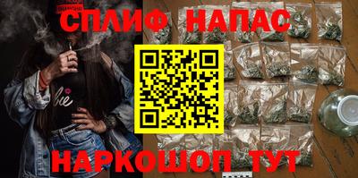 крисы Кулебаки