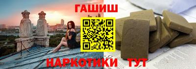 крисы Кулебаки